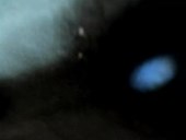 Show thumbnail